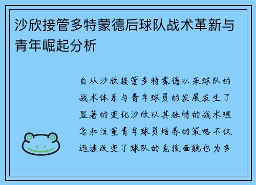 沙欣接管多特蒙德后球队战术革新与青年崛起分析 沙欣接管多特蒙德后球队战术革新与青年崛起分析